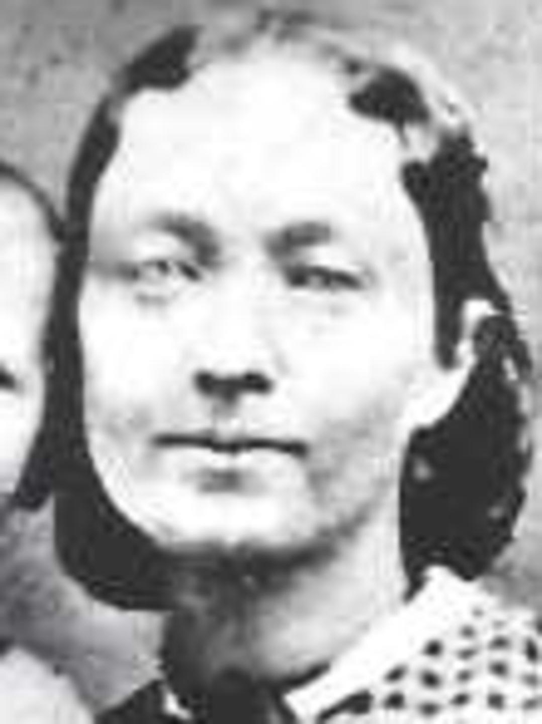 Susan Hulda Miller (1839 - 1867) Profile